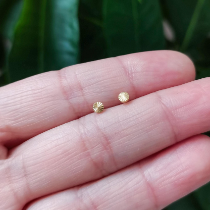 Whorl Disc Push Pin Labret Stud(2 PCS)