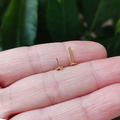 Whorl Disc Push Pin Labret Stud(2 PCS)