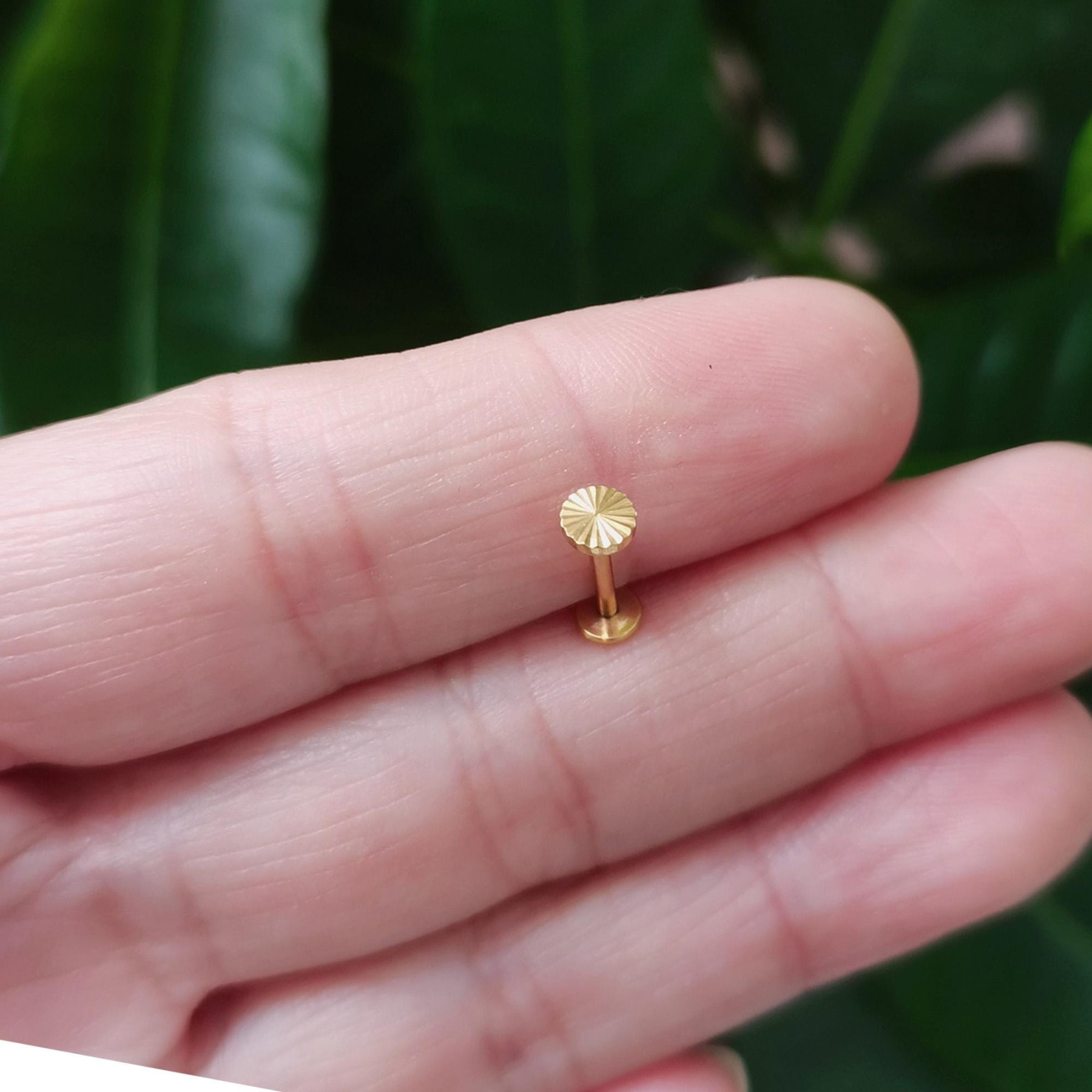 Whorl Disc Push Pin Labret Stud(2 PCS)