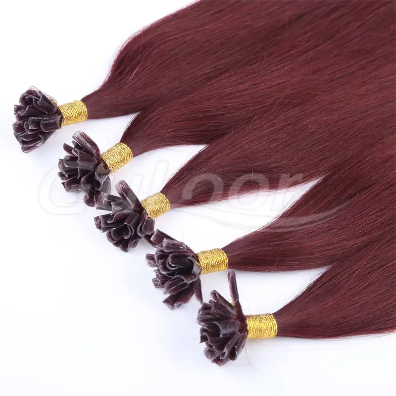 U Tip Hair Wholesales 100% human Hair Extensions #99J Color