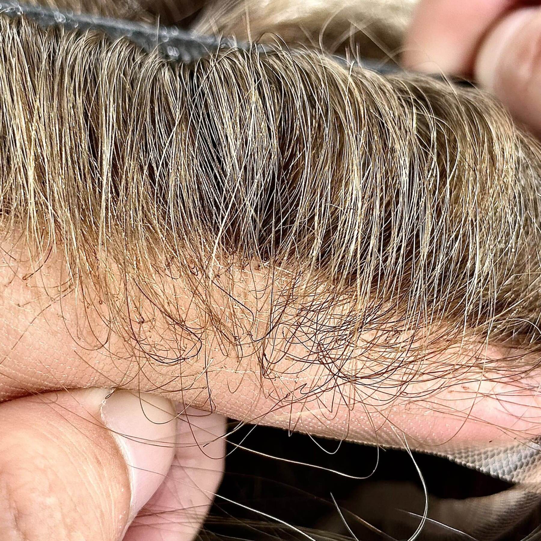 Lace-Wholesale Men Toupee In Stock #6 | French Lace Hair System  | Guloor Hair