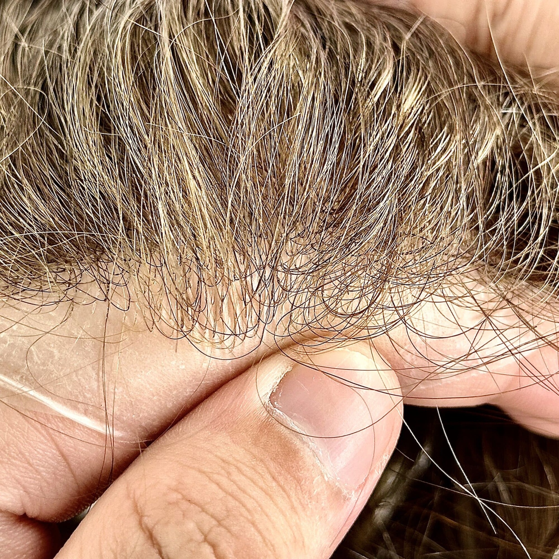 Mens Toupee Hairpiece Human Hair Systems 5#