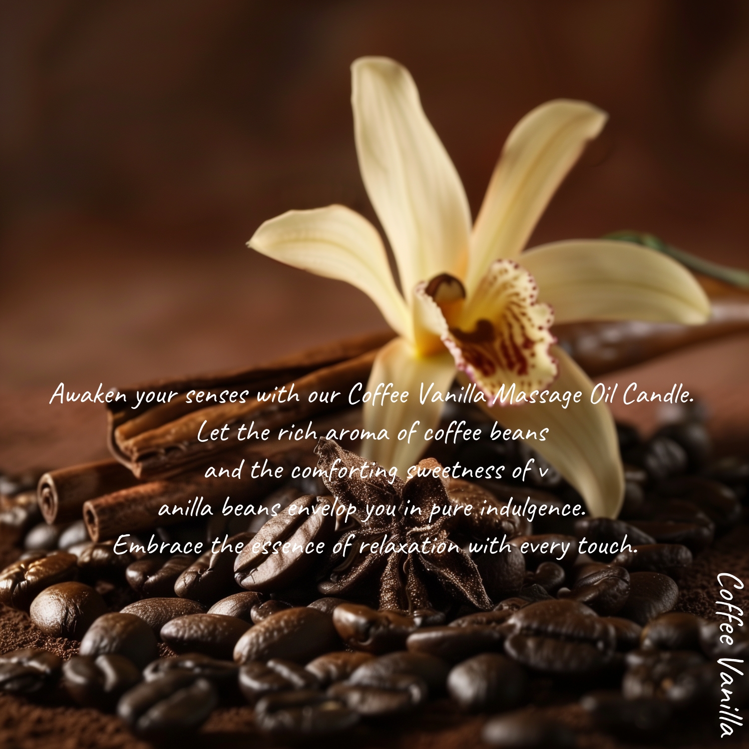 COFFEE VANILLA | MELONY SOY MASSAGE CANDLE | 8.1OZ / 230G