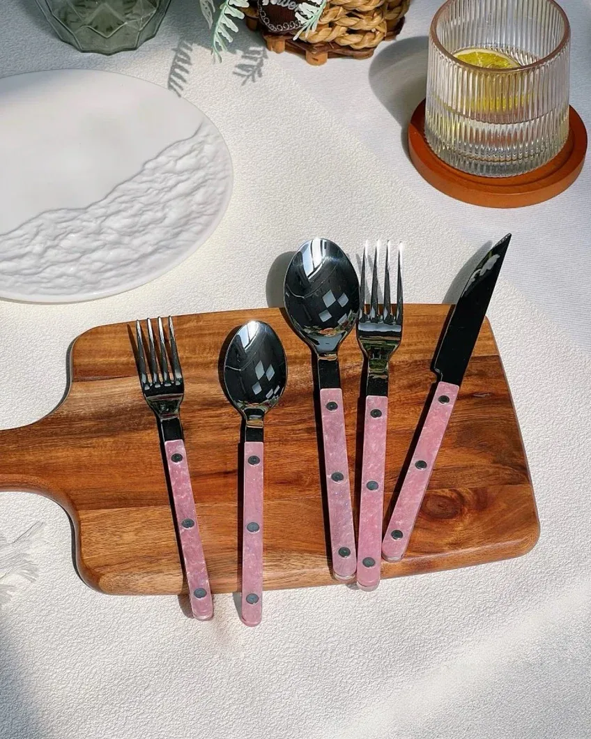 Set of 10 Sleek Modern Pinky Elegant Salt Lake Flatware Cutlery Silverware Set
