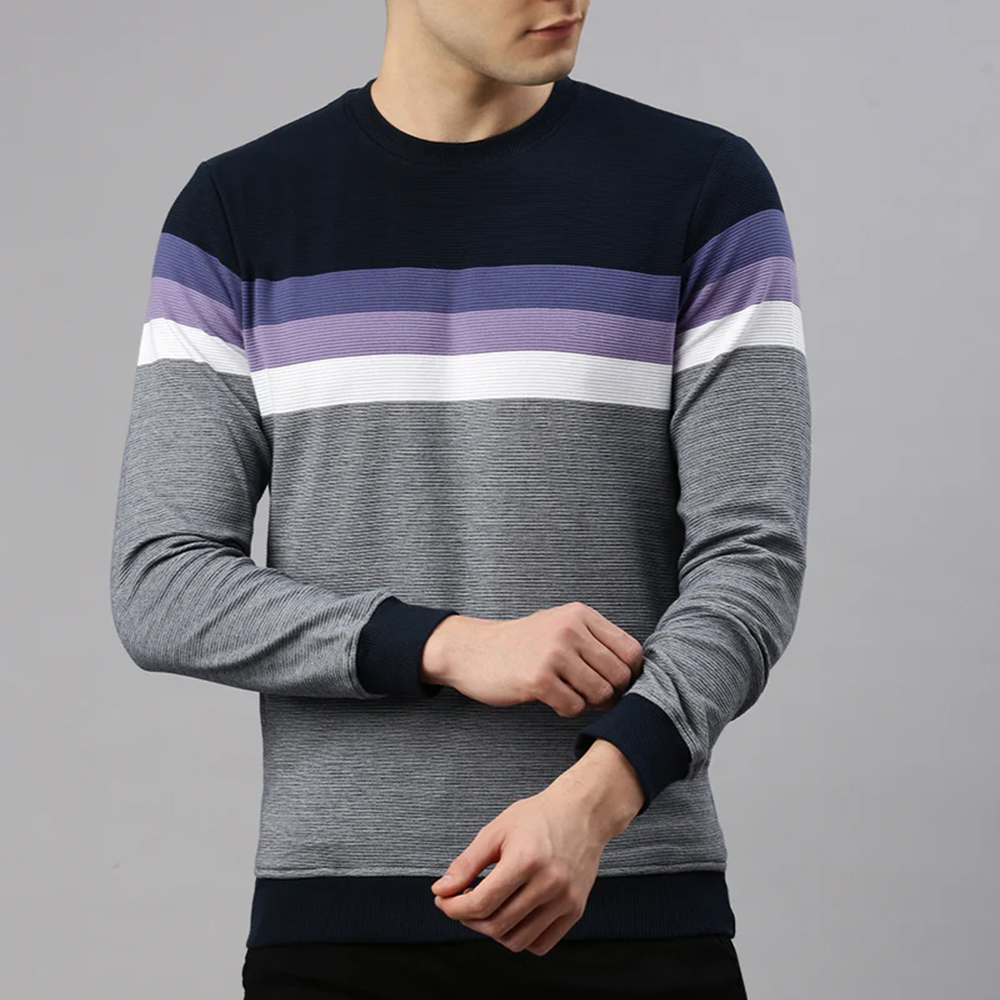 TomsloverStriped Multicolor Crewneck Sweatshirt