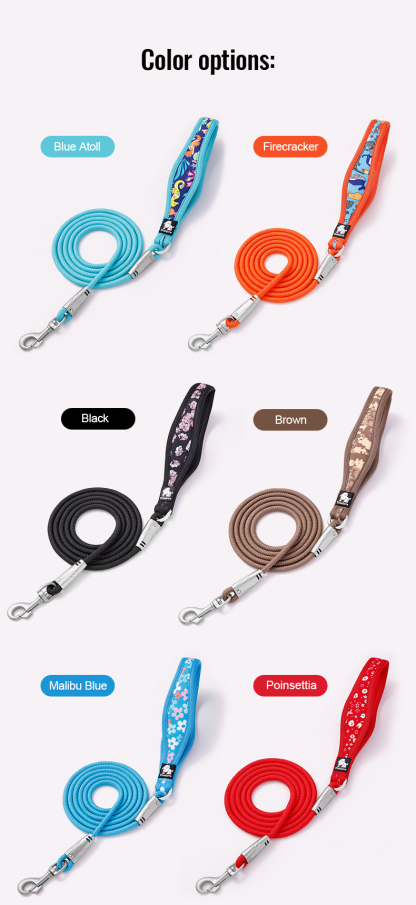 Truelove Premium Outdoor Leash with Durable and Comfortable Design (TLL25761)