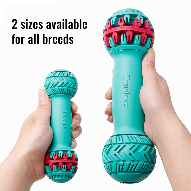 Truelove Engaging Play Non-Toxic Treat Dispenser with Rotating End (TLT2606)