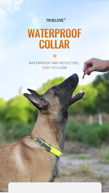 Truelove Reflective Waterproof Dog Collar: Safety and Comfort (TLC5521)