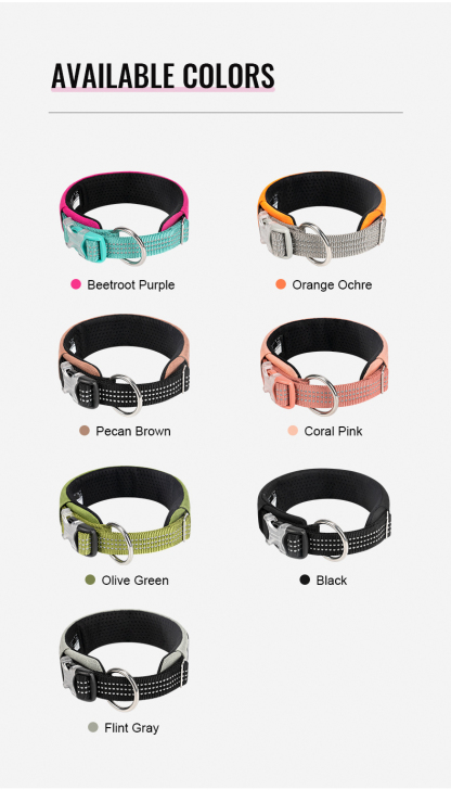 Truelove High Quality Multifunctional Personalized Dog Collar Soft Pet Collar Tactical (TLC5611)