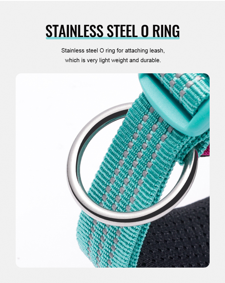 Truelove High Quality Multifunctional Personalized Dog Collar Soft Pet Collar Tactical (TLC5611)