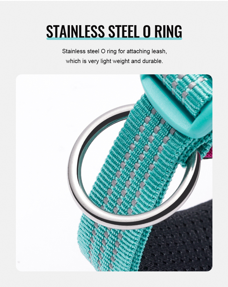 Truelove High Quality Multifunctional Personalized Dog Collar Soft Pet Collar Tactical (TLC5611)