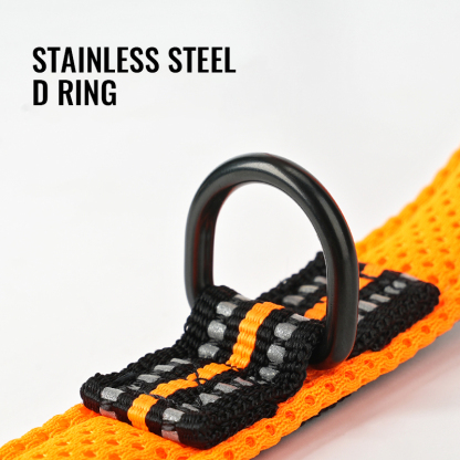 Truelove 7 in 1 Multi-Function Dog Leash (TLL2411)