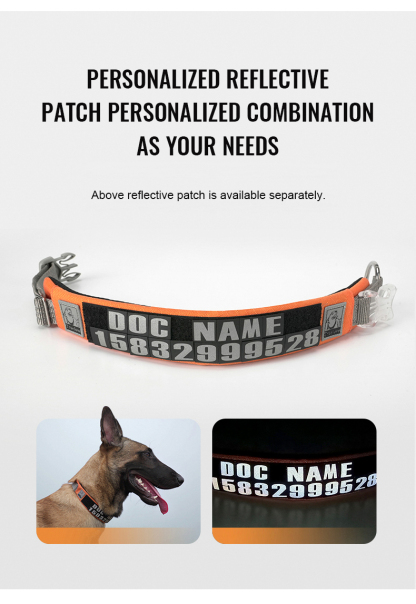 Truelove High Quality Multifunctional Personalized Dog Collar Soft Pet Collar Tactical (TLC5611)