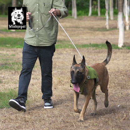 Winhyepet UHMWPE dog leash (YL1835)