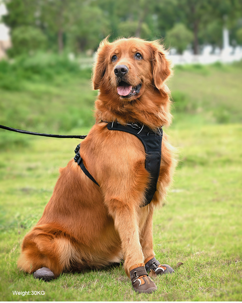 Truelove Outdoor Safety Shoes Reflective Straps and TPR Sole Waterproof Pet Shoes (TLS3963)