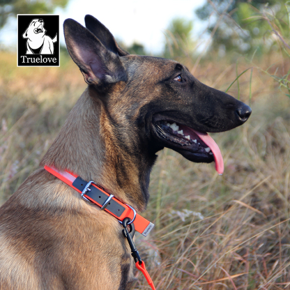 Truelove Reflective Waterproof Dog Collar: Safety and Comfort (TLC5521)