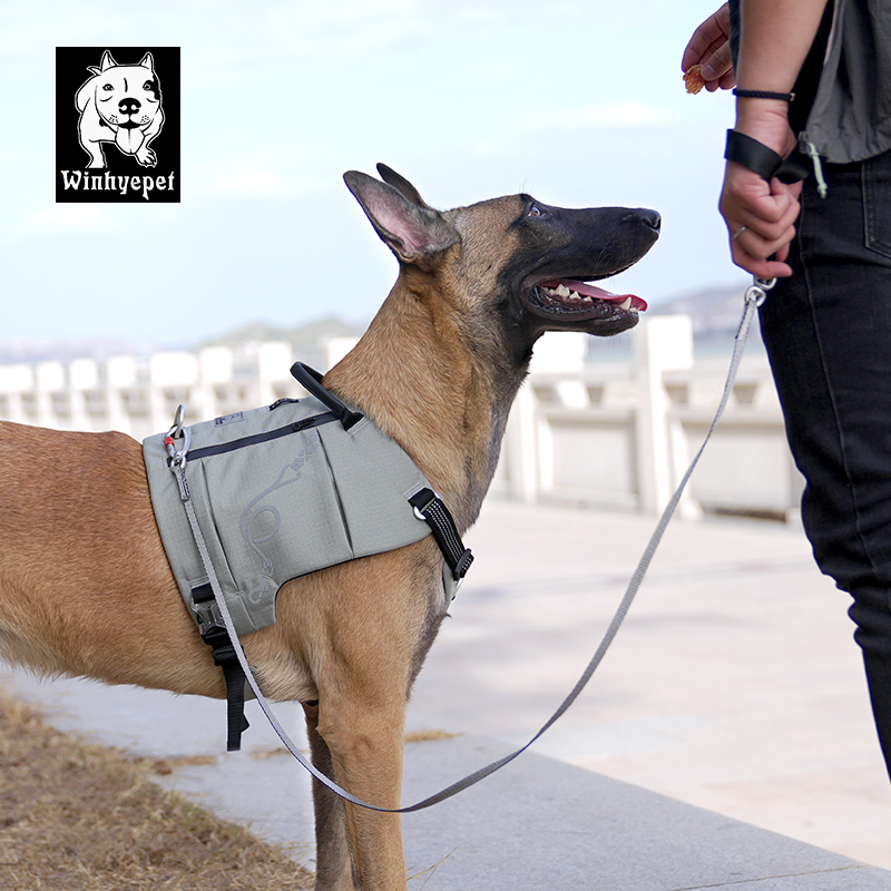 Winhyepet UHMWPE dog leash (YL1835)