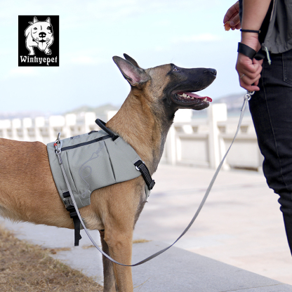 Winhyepet UHMWPE dog leash (YL1835)