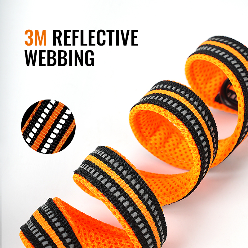 Truelove 7 in 1 Multi-Function Dog Leash (TLL2411)