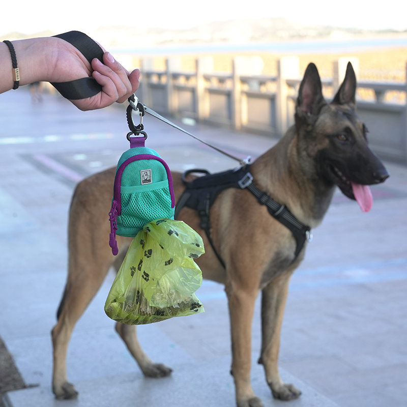 Truelove WalkEasy Hands-Free Convenient Stylish Dog Poop Bag Holder (TLB2011)