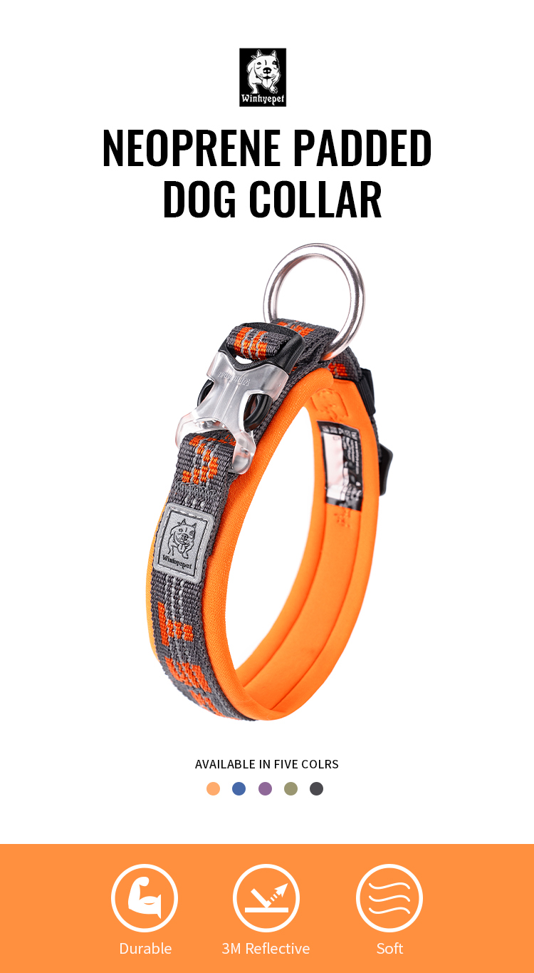 Winhyepet Neoprene Padded Dog Collar (YC1854)