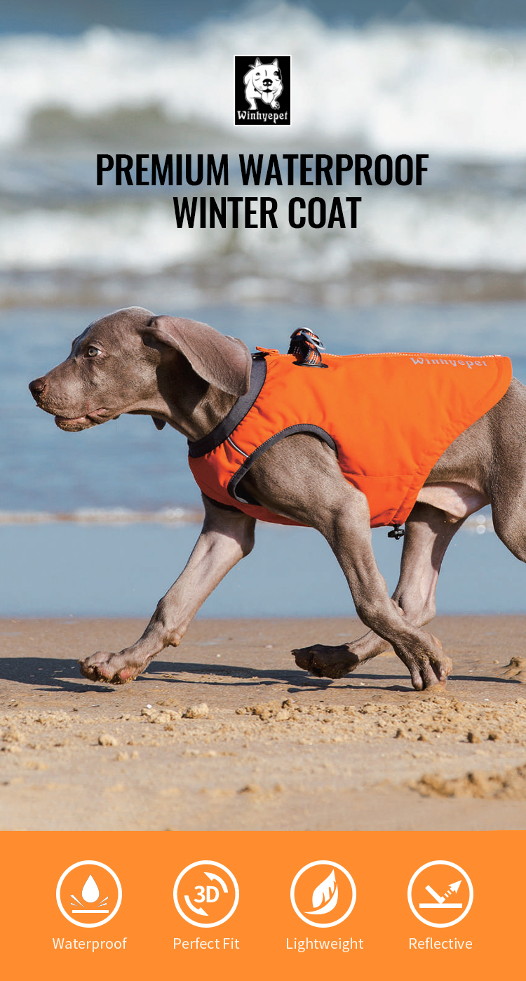 Winhyepet Premium Waterproof Winter Coat (YG1871)