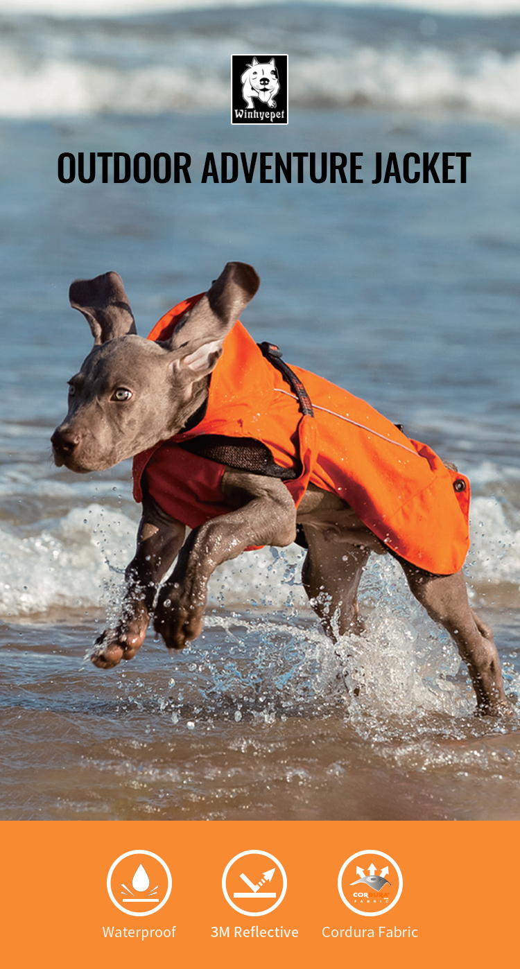 Winhyepet Outdoor Pet Jacket (YG1872)