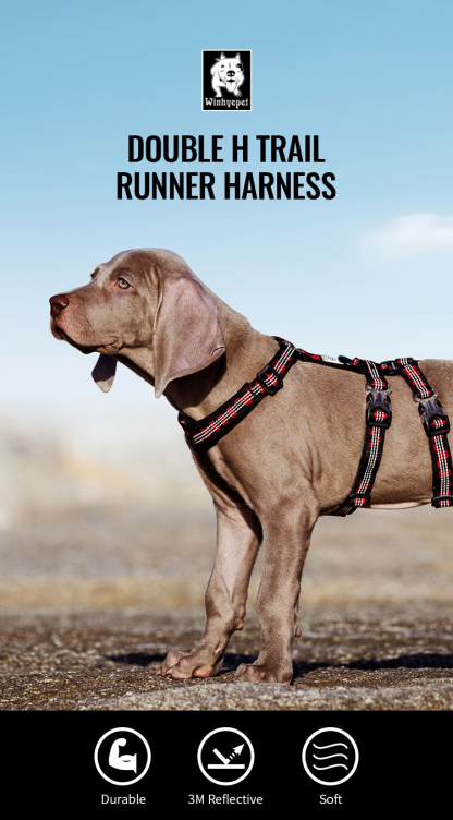 Winhyepet Double H Trail Runner Harness (YH1804)