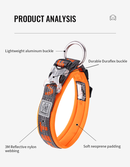 Winhyepet Neoprene Padded Dog Collar (YC1854)