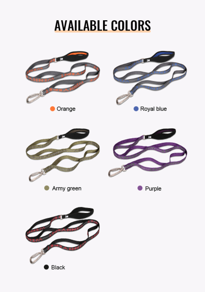 Winhyepet Multi-handle dog leash with reflective (YL1832)