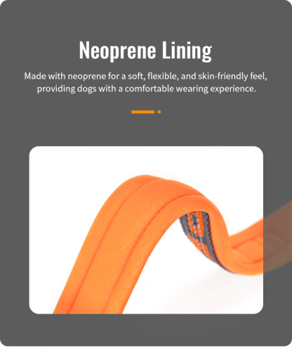 Winhyepet Neoprene Padded Dog Collar (YC1854)