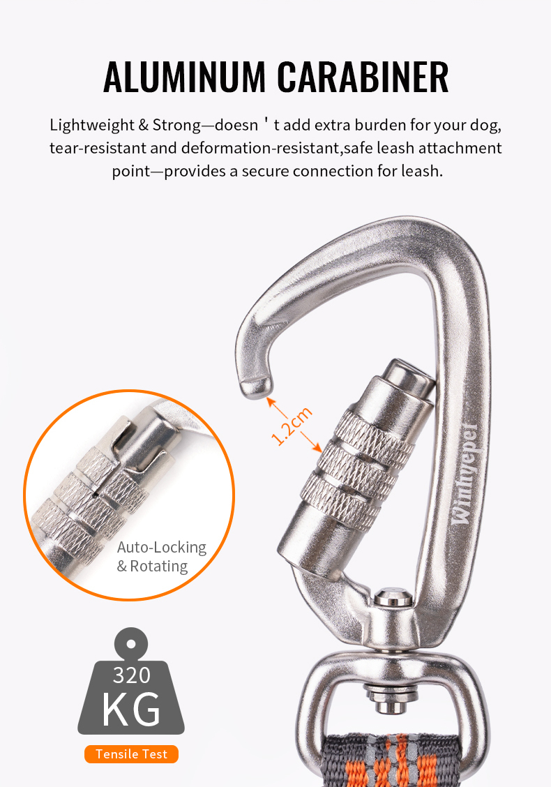 Winhyepet Multi-handle dog leash with reflective (YL1832)