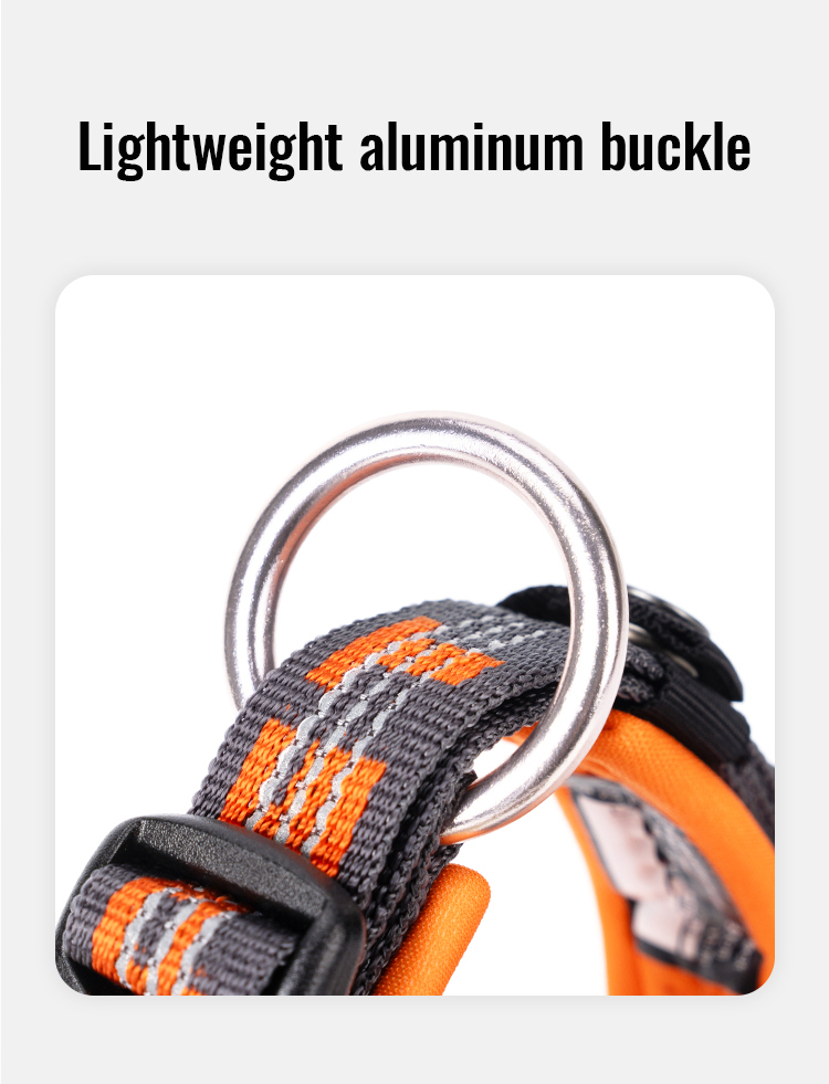 Winhyepet Neoprene Padded Dog Collar (YC1854)