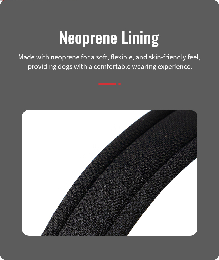 Winhyepet Double H Trail Runner Harness (YH1804)