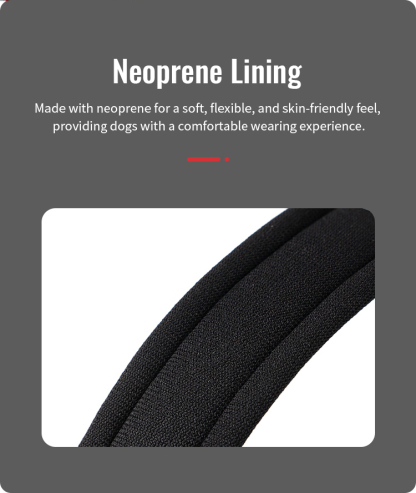 Winhyepet Double H Trail Runner Harness (YH1804)