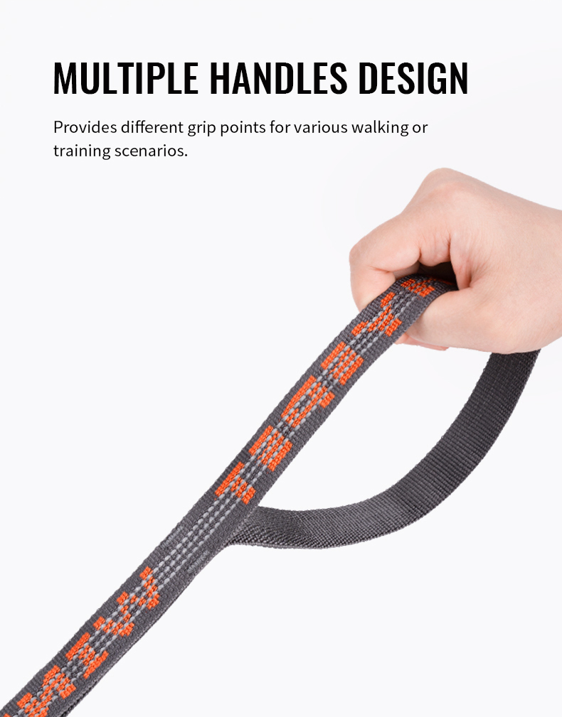 Winhyepet Multi-handle dog leash with reflective (YL1832)