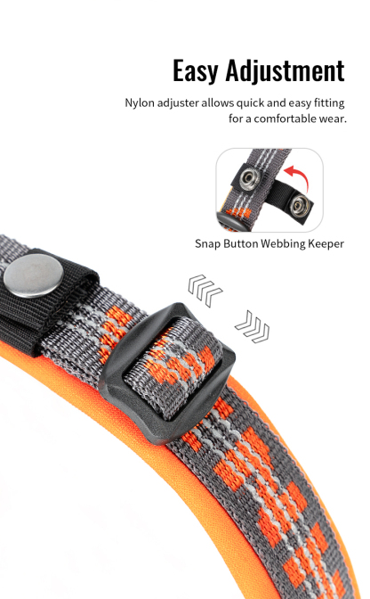 Winhyepet Neoprene Padded Dog Collar (YC1854)