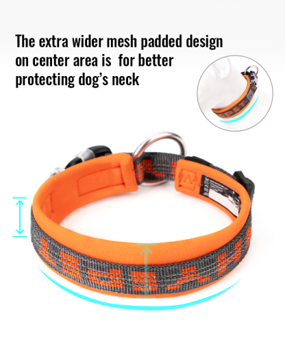Winhyepet Neoprene Padded Dog Collar (YC1854)