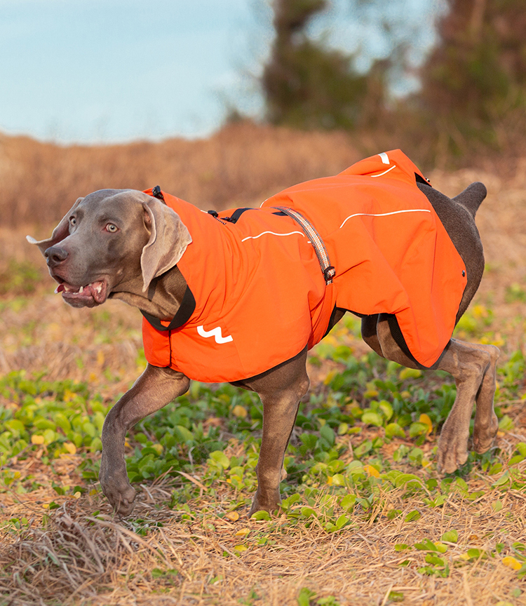 Winhyepet Outdoor Pet Jacket (YG1872)