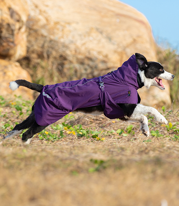 Winhyepet Outdoor Pet Jacket (YG1872)