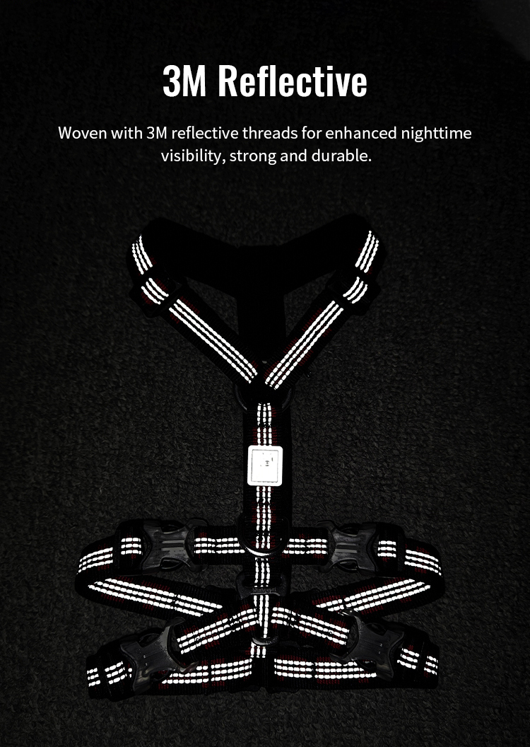 Winhyepet Double H Trail Runner Harness (YH1804)