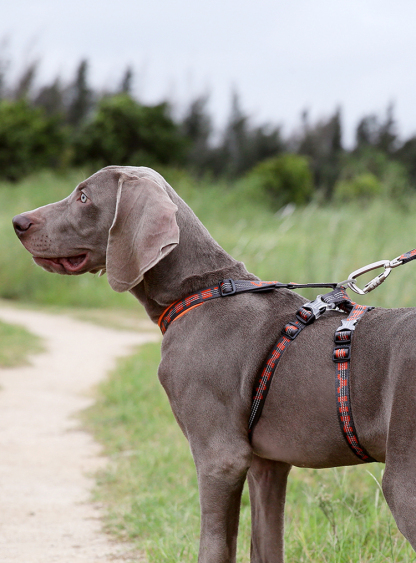 Winhyepet Double H Trail Runner Harness (YH1804)