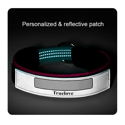Truelove High Quality Multifunctional Personalized Dog Collar Soft Pet Collar Tactical (TLC5611)