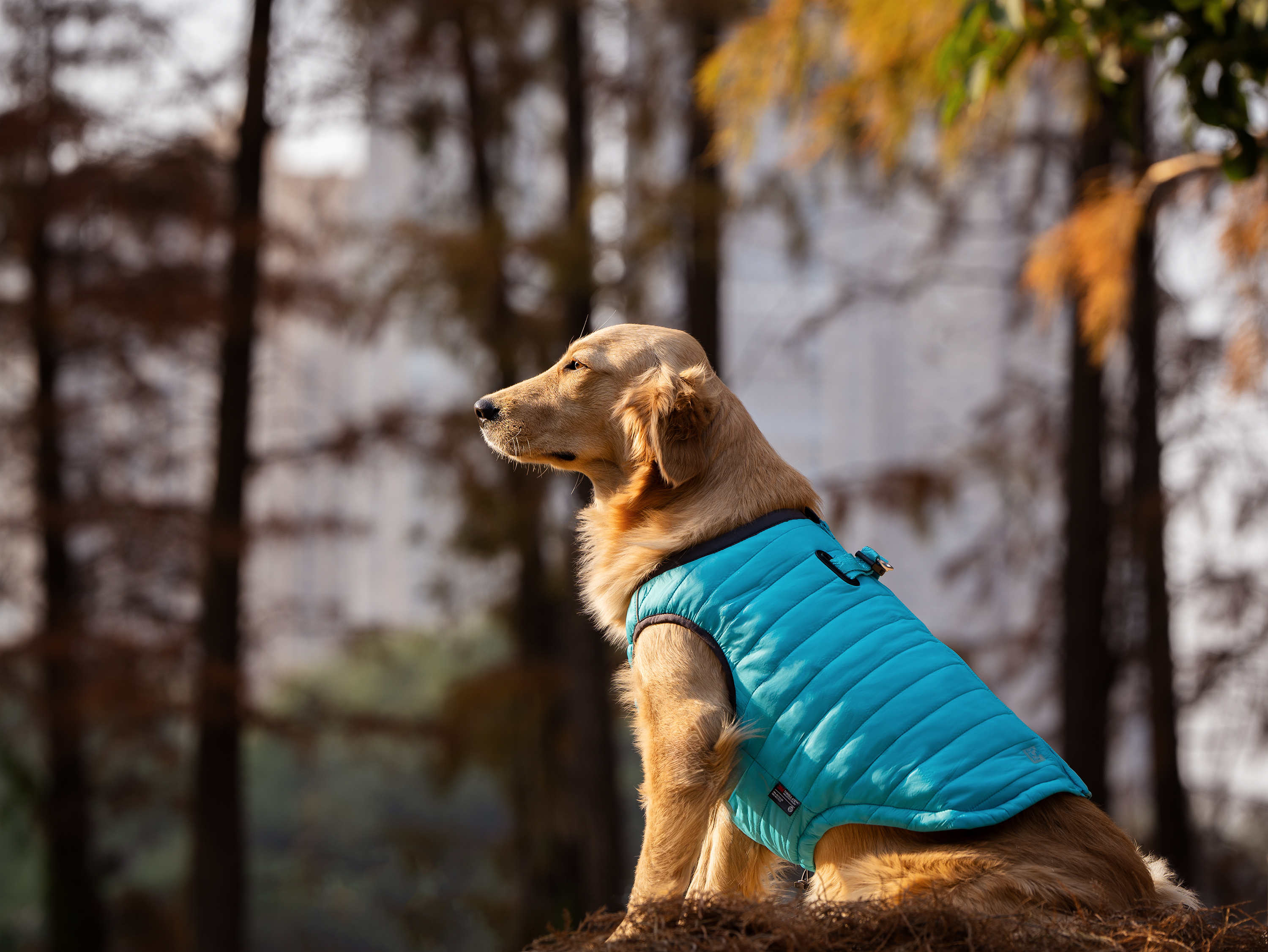 Truelove Warm and Durable Pet Winter Coat with Thinsulate Insulation (TLG2171)