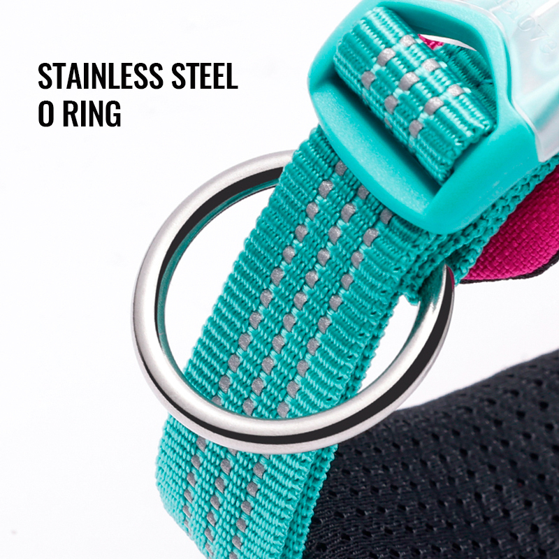 Truelove High Quality Multifunctional Personalized Dog Collar Soft Pet Collar Tactical (TLC5611)