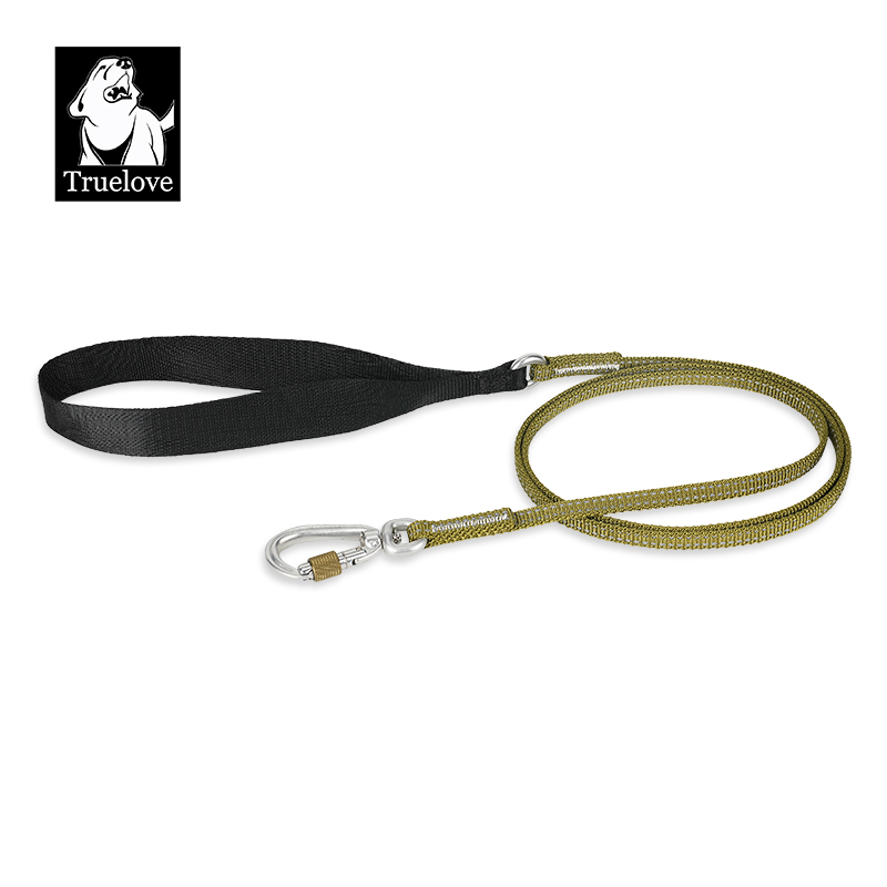 Truelove’s Reflective Lightweight Leash: Nighttime Safety, Daytime Convenience (TLL2772)