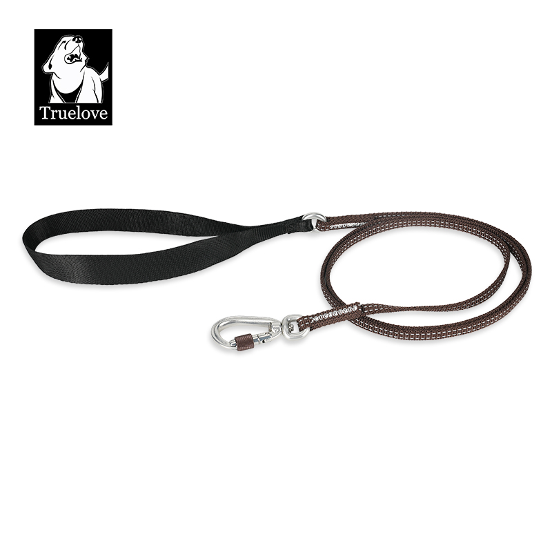 Truelove’s Reflective Lightweight Leash: Nighttime Safety, Daytime Con