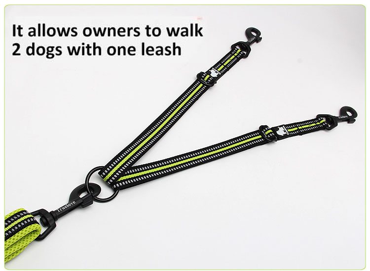 Truelove Nylon 2 in 1 Dog Leash (TLL2371)