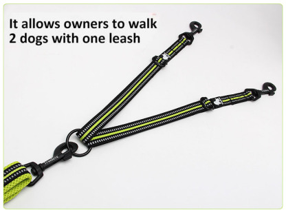 Truelove Nylon 2 in 1 Dog Leash (TLL2371)