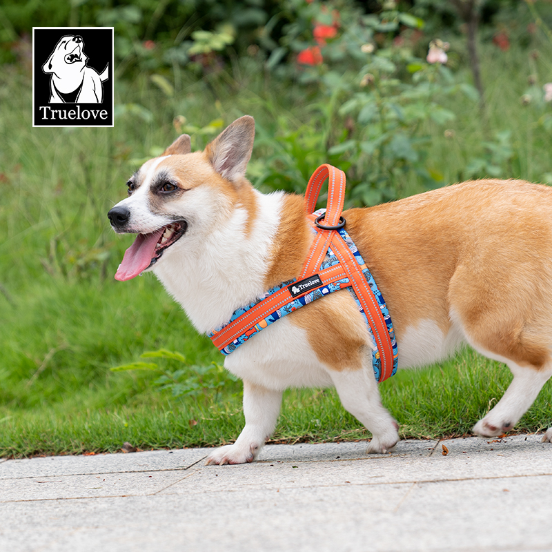 Truelove Adjustable Durable Harness with Reflective Webbing Soft Padded Harness